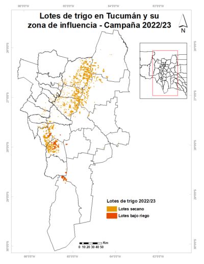 Tucumán y su zona de influencia Cálculos finales de producción de