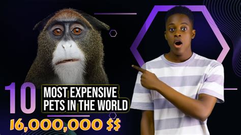 Most Expensive Pets In The World Youtube