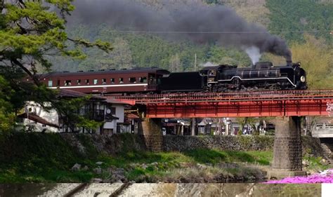 Locomotora De Vapor Y Flor De Cerezo Rompecabezas En L Nea