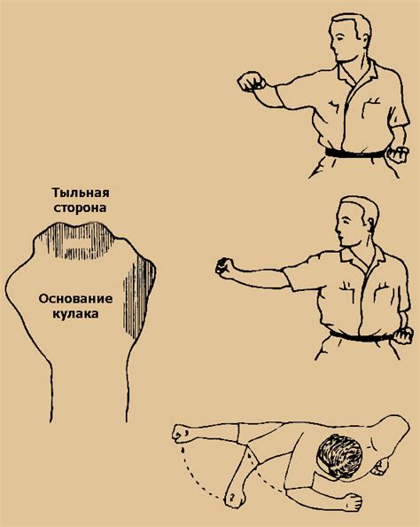 Боевые средства и цель: анатомия вашего тела и тела противника ...