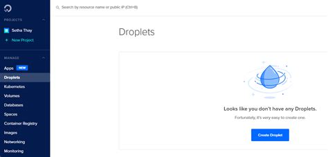 Steps To Own Your First Digital Ocean Cloud Server Or Droplet