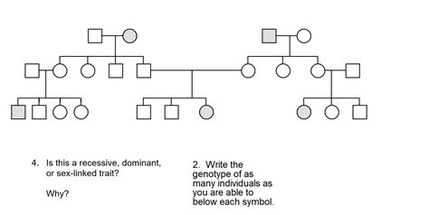 Solved POO Is This A Recessive Dominant Or Sex Linked Chegg