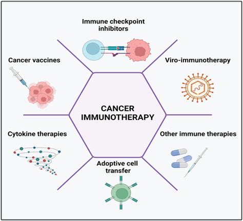 Cancers Free Full Text Recent Advances In Molecular Mechanisms Of