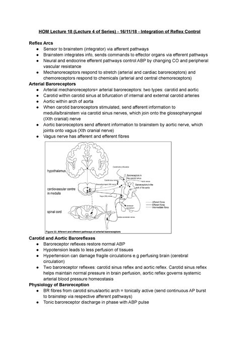 HOM Lecture 18 Lecture 4 Of Series 16 11 18 Integration Of Reflex