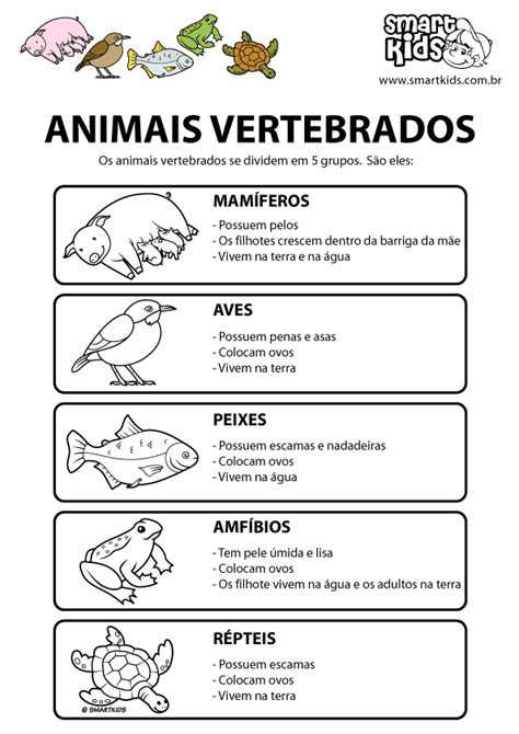 Atividades Animais Vertebrados E Invertebrados