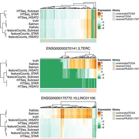 Examples of lncRNAs in cancer. The lncRNAs that were previously ... 