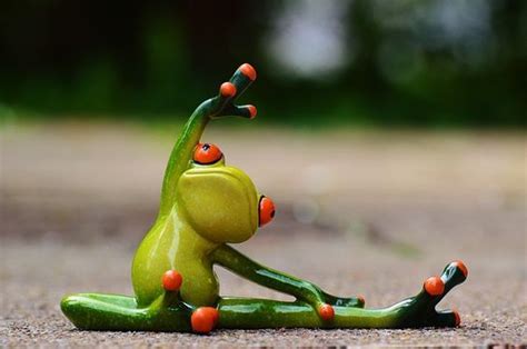 Frog Doing Yoga Cute Frogs Funny Frogs Frog