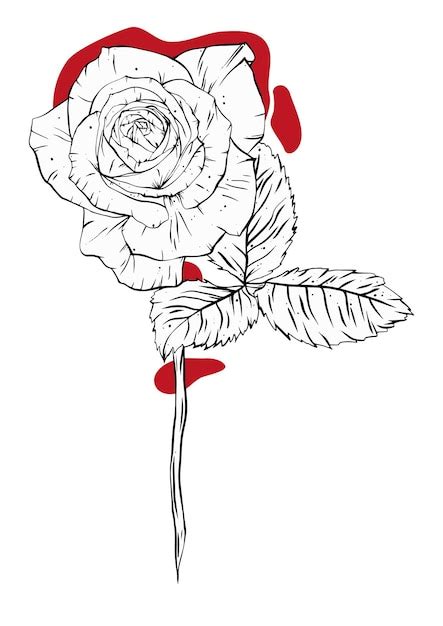 Premium Vector A Red Rose Drawing With Red Spots Around It