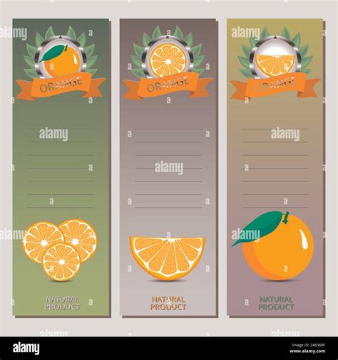 Abstract Vector Icon Illustration Logo Whole Ripe Citrus Fruit Orange