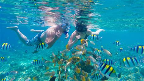 3 Gili Lombok Snorkeling Tour: Gili Trawangan, Gili Meno, Gili Air