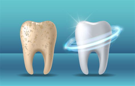 Your Amazing Tooth Enamel - Placerville Dental Group