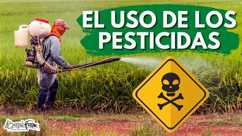 Cómo usar los pesticidas de forma segura y correcta YouTube