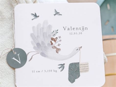 Faire Part De Naissance Envol Cottonbird