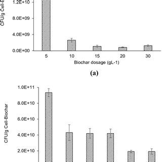 Degradation Pathway Of Pq By Cell Immobilized Biochar Co Cell Bc