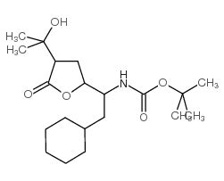 N Ciclohexil Hidroxipropan Il Oxooxolan Il Etil