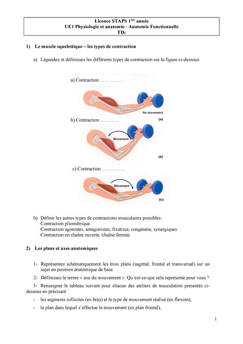 APP L1 S1 Anatomie 2023 exercice Licence STAPS 1ère année UE1