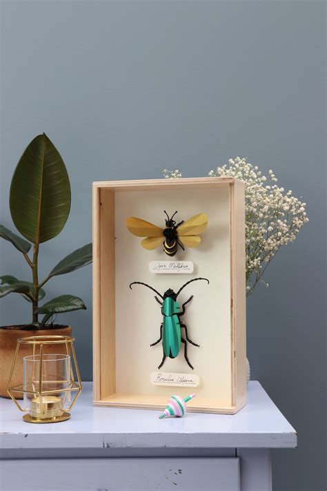 3d Paper Insects Wall Decoration Assembli Shop Paper Art Craft