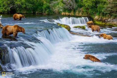 Najlepsze Zdj Cia Opublikowane Przez Magazyn National Geographic W