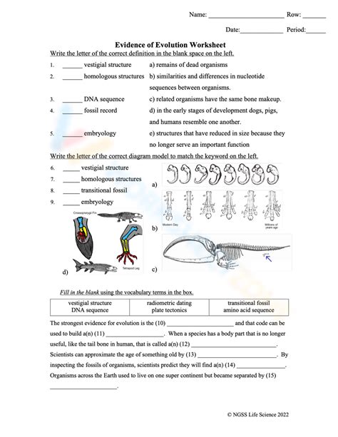 Free Printable Evidence Of Evolution Worksheets Worksheets Library