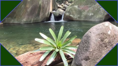 Cachoeira da Concórdia Guapimirim RJ YouTube