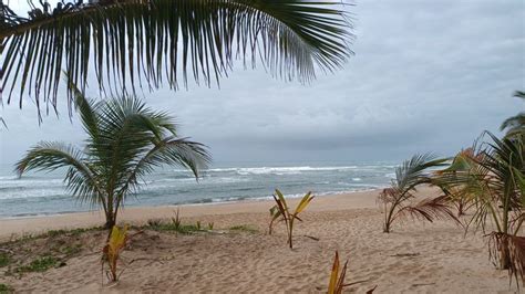 Pin de Alessandra Carolini Leão em Peninsula de Maraú Bahia Marau