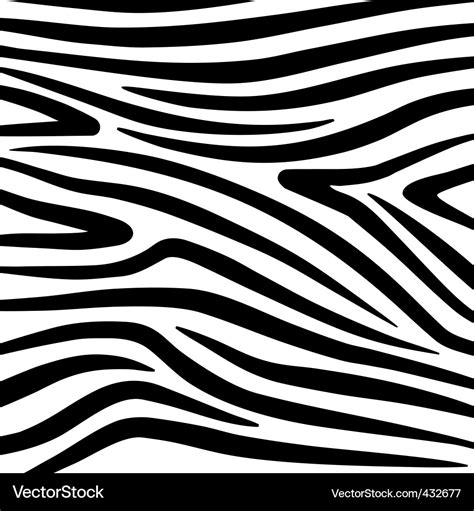 Zebra print Royalty Free Vector Image - VectorStock