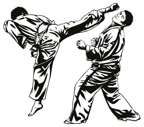 Die Grundtechniken Des Karate Vom Weissgurt Bis Z 3