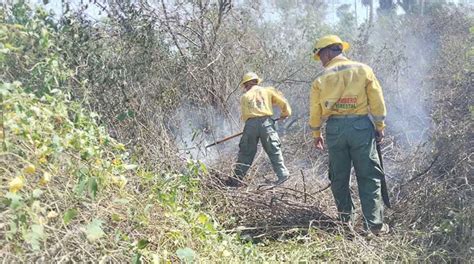 Bolivia Registra Focos De Calor El Est N En Santa Cruz Y