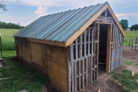 15 Diy Pallet Chicken Coop Ideas Affordable Housings