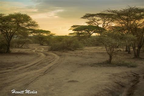 Camping in the Serengeti National Park