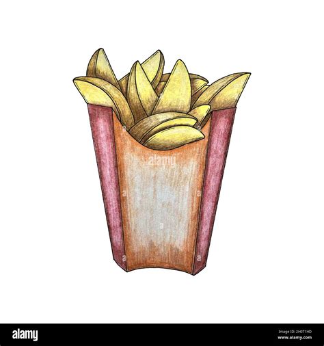 French Fries Potato Wedges Sketch Hand Drawn Pencil Drawing Packaging