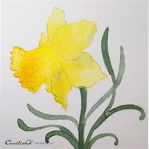 How To Watercolor A Daffodil Flower Without Fussing Over Details