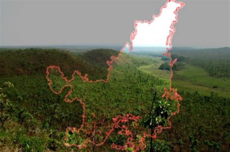 Levantamento Mostra O Uso E Cobertura Da Terra No Bioma Cerrado