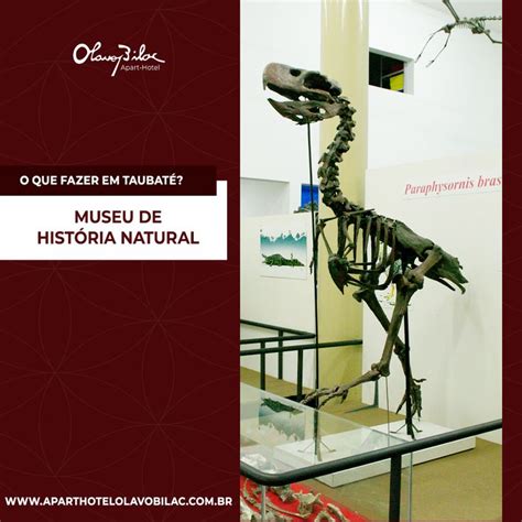 Museu De Hist Ria Natural O Museu Ocupa Um Pr Dio Especialmente