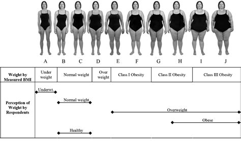 Wellness Wednesdays How And Why Optimizing Bmi Improves Ivf Success