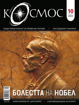 Как Франция заграби Венера Милоска, Германия - Нефертити, а Англия ...