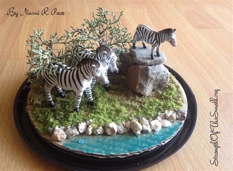 DIY: Zebra Habitat – Strength Of The Small