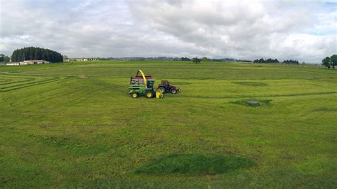 Super Fast Silage Harvest Youtube