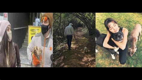 Kerem Bürsin and Hande Erçel met while walking their dogs in the forest