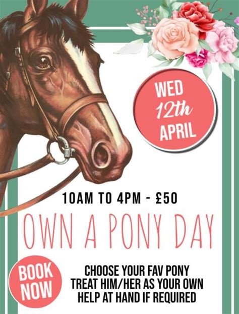 Own A Pony Day At Great Trethew Trekking Welcome To Looe Polperro