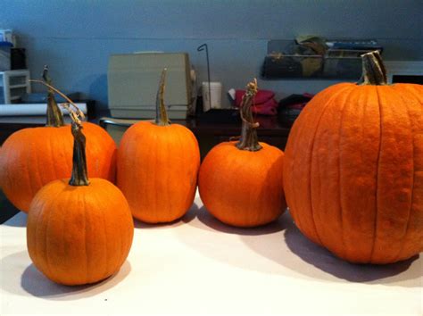 Our Garden Path: Painting Pumpkin Faces