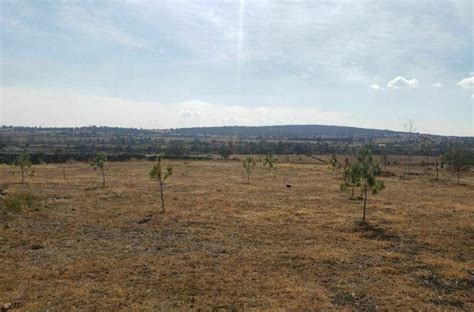 Terreno en Venta El Pino Amealco Querétaro