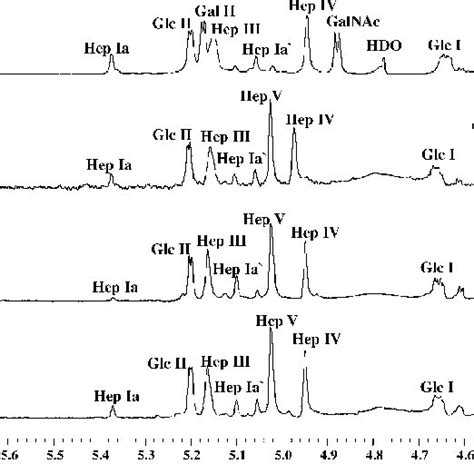 Anomeric Regions Of The H Nmr Spectra Of The Core Os From Ap