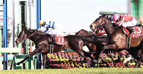 42（日曜）阪神2r【推奨度s】｜ビヨンドザマックス【意味限界を超えて競馬を予想】｜note