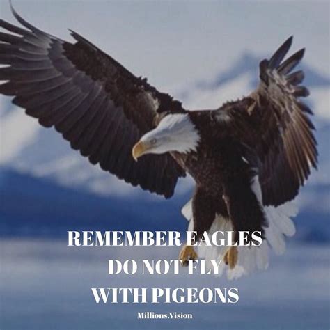 Reposting Millionsvision Remember Eagles Do Not Fly Wit Flickr