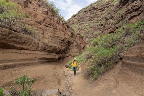 El Barranco De Las Vacas El Ca N De Moda De Gran Canaria Escapadarural