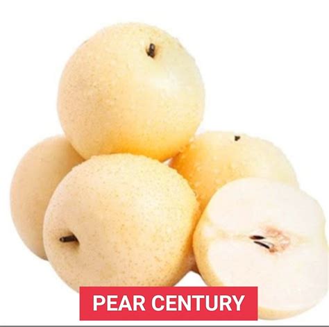 Buah Pir Century Pear Century Buah Segar Ibaza Fruitsbox Lazada