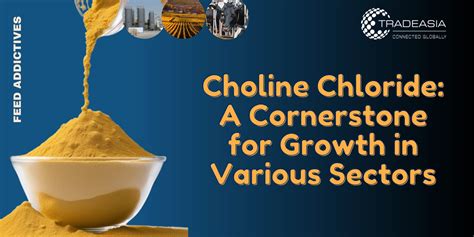 Choline Chloride: A Cornerstone for Growth in Various Sectors - Choline ...