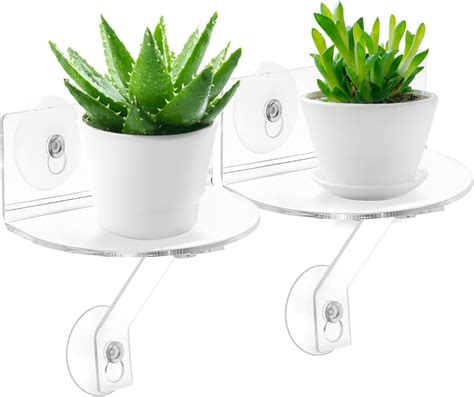 2 Pack Suction Cup Window Shelf for Plants, Acrylic Philippines | Ubuy