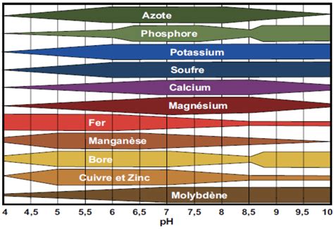 Pourquoi Le Bon PH Est Il Important Dans Le Potager Jardinier Paresseux